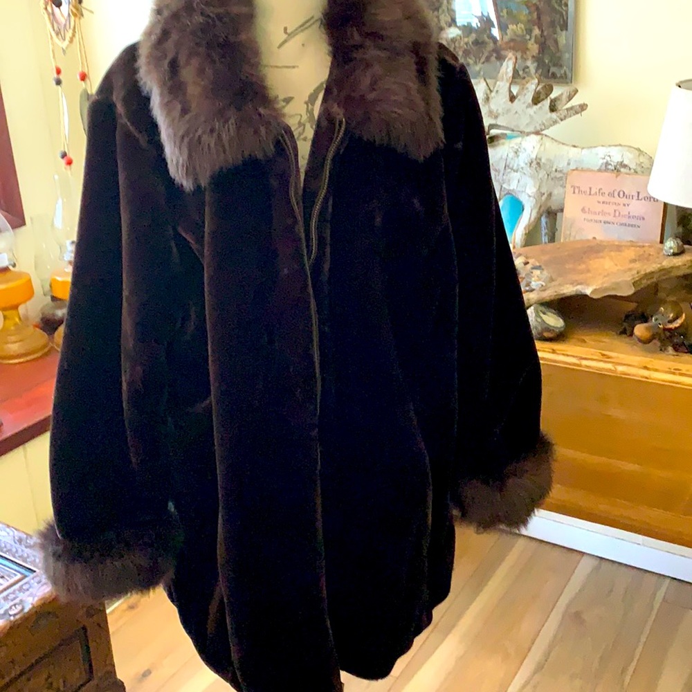 DENNIS BASSO WINTER COST